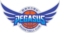 大邱石油公社飛馬