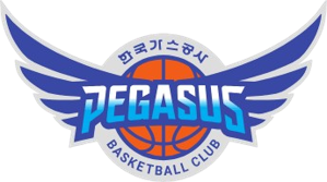 大邱石油公社飛馬