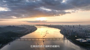 【熱議】錢潮杯預選賽燃情開賽，球迷熱議誰將稱霸少年足球舞臺？