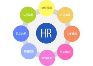 行政管理、人力資源管理、工商企業管理 企業管理三大領域的比較與選擇
